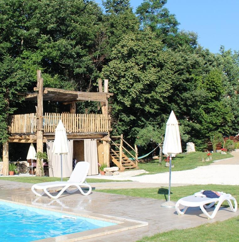 Apartment Modrusani 1561 Žminj Εξωτερικό φωτογραφία